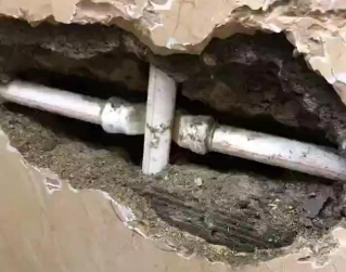 罗城测漏水哪家好