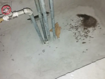 罗城卫生间测漏水价格明细